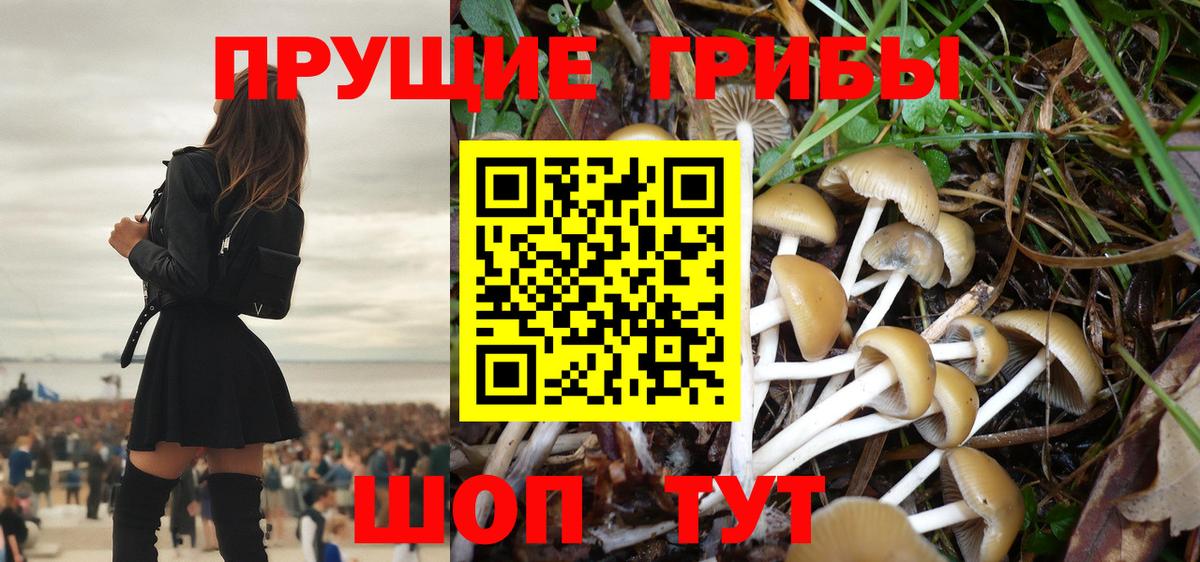 Краснотурьинск  Псилоцибиновые грибы Cubensis  хочу   Вход с VPN 